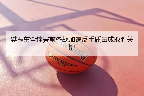 樊振东全锦赛前备战加速反手质量成取胜关键